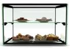 Sayl ADS0010 Ambient Display Two Tier 550mm